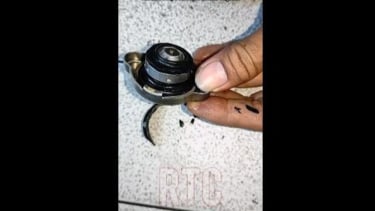 Tutup Radiator