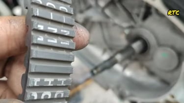 V-Belt