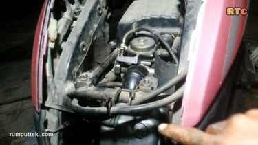 honda vario