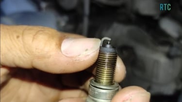 busi motor