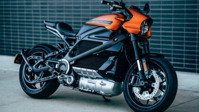 Harley Davidson Livewire.