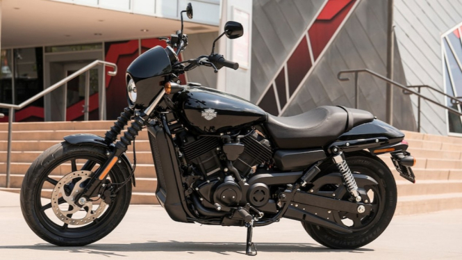Moge Harley Street 500.