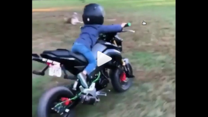 Aksi bocah naik motor sport.