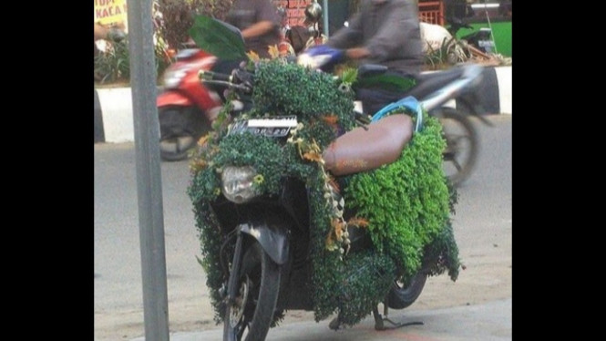 Motor berjubah dedaunan.