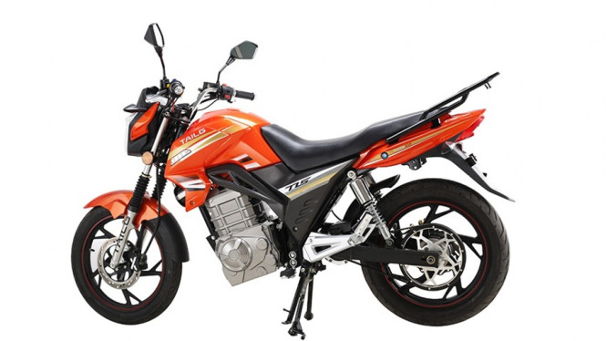 Motor listrik TAILG TDQG91Z