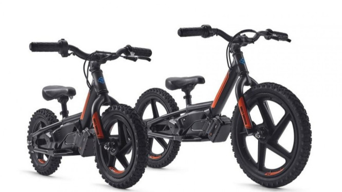 E-bike Harley-Davidson