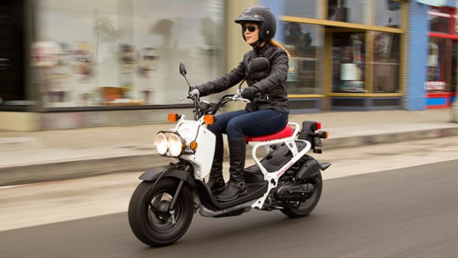 Honda Zoomer didaftarkan ke BPRD Jakarta.