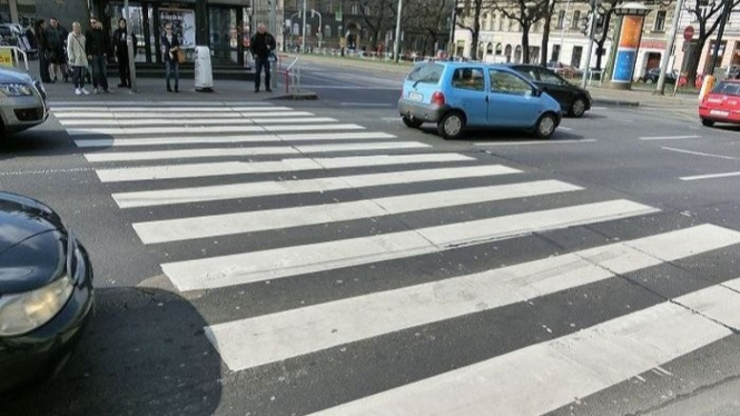 Zebra Cross