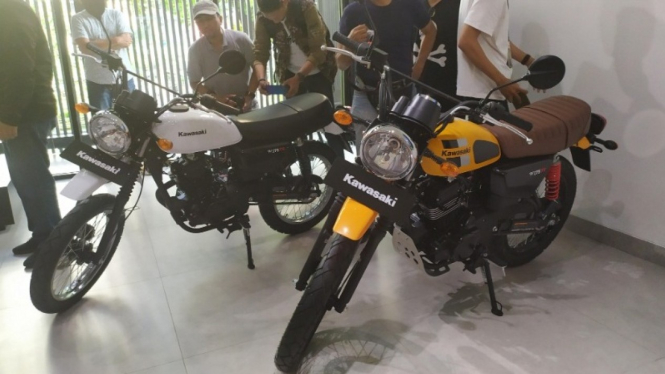 Kawasaki W175 Tracker
