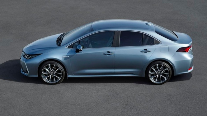 Toyota Corolla 2019
