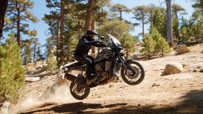 Harley-Davidson Adventure