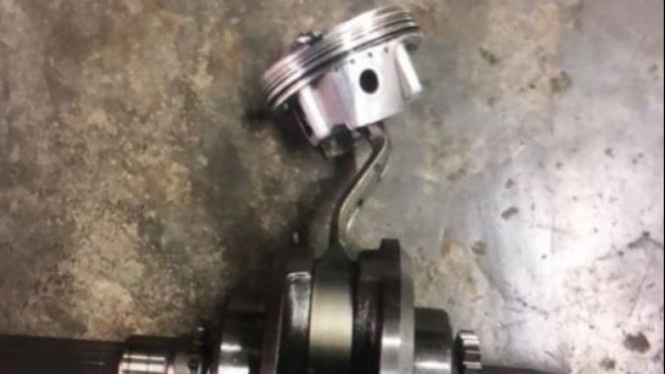 Setang Seher Bengkok