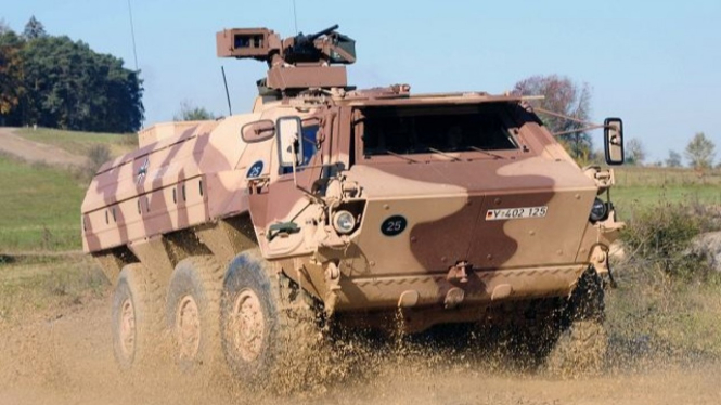 Rheinmetall Fuchs