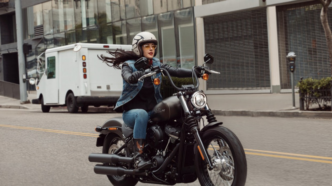 Harley-Davidson Model Year 2020