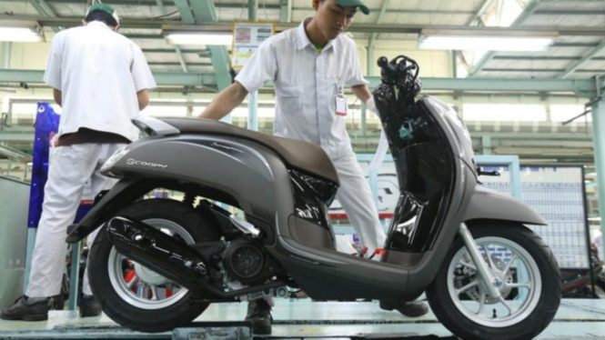 Honda Scoopy