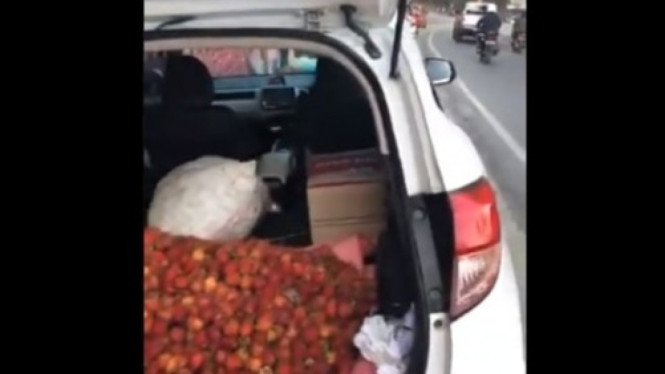 Jualan Buah Pakai Mobil