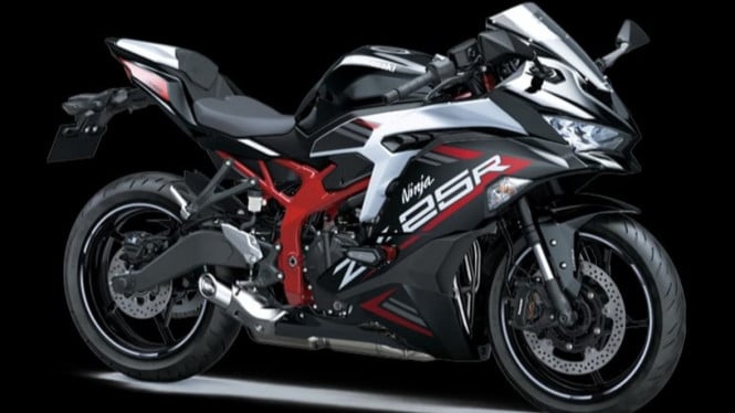 Kawasaki Ninja ZX-25R