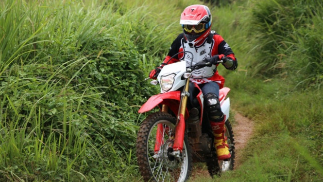 Motor Trail