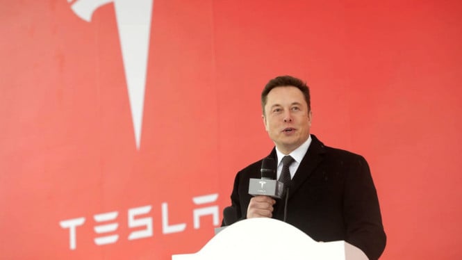 Elon Musk. Foto: The Verge.