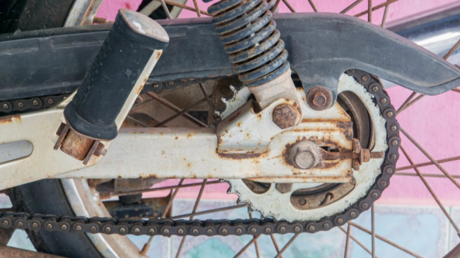 Karat pada motor