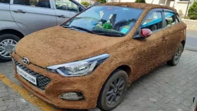 Hyundai i20 dibaluri kotoran sapi.