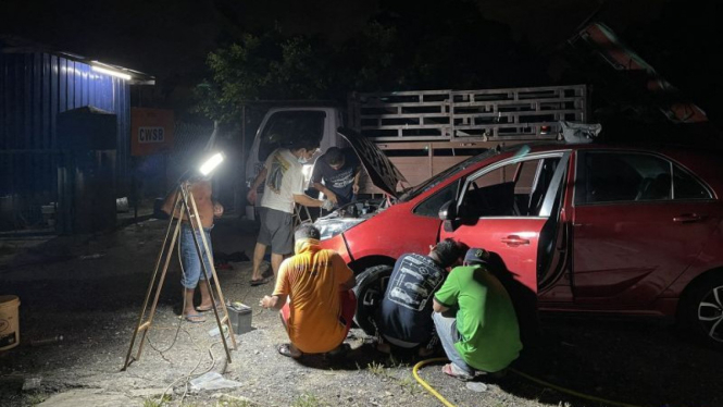 Mobil menjadi tempat hunian ular