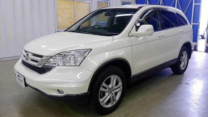 Honda CR-V 2009, Ilustrasi mobil ditukar burung