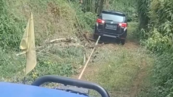 Kijang Innova nyasar masuk hutan