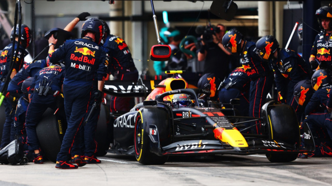 Tim Red Bull Racing