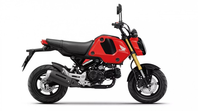 honda msx 125 grom