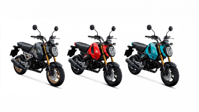 honda msx 125 grom