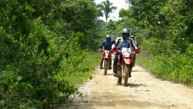 Ilustrasi trabas di hutan pakai motor trail