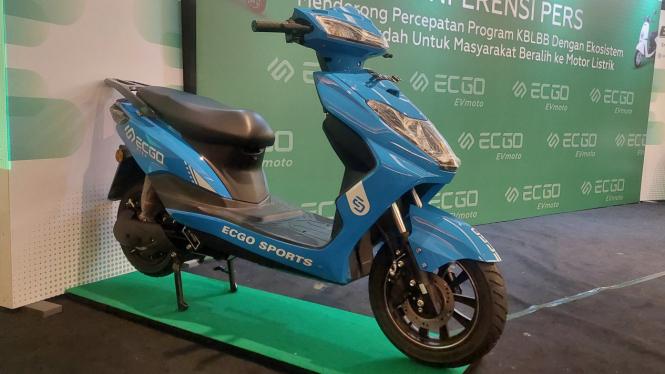 Ecgo 3