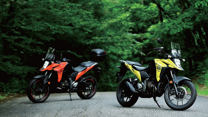 Suzuki V-STROM 250SX