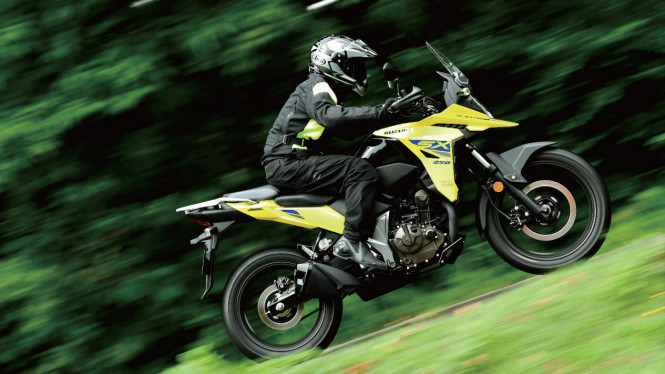 Suzuki V-STROM 250SX
