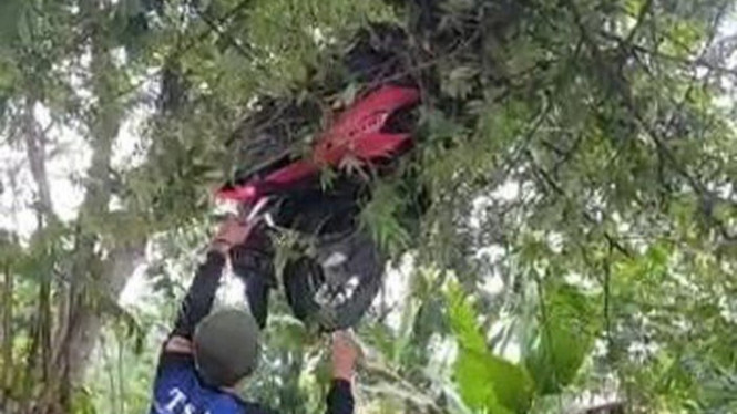 Tangkapan layar viral motor nyangkut di pohon