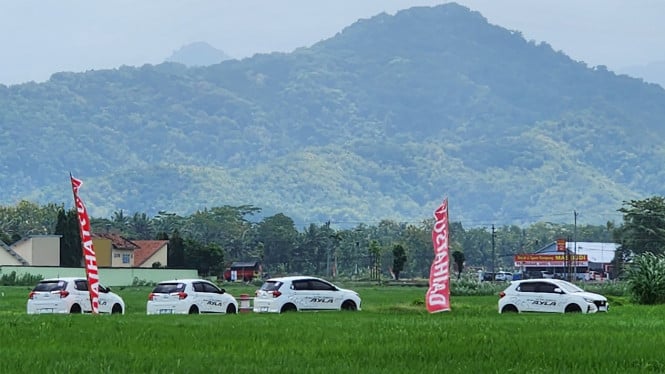 Test drive All New Daihatsu Ayla