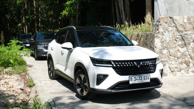Wuling Alvez EX