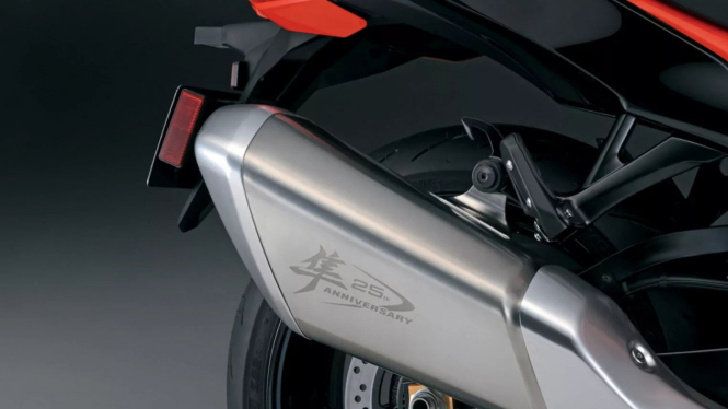 Suzuki Hayabusa 25th Anniversary