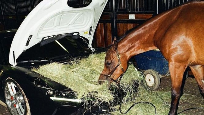 Mobil Ferrari jadi tempat makan rumput kuda