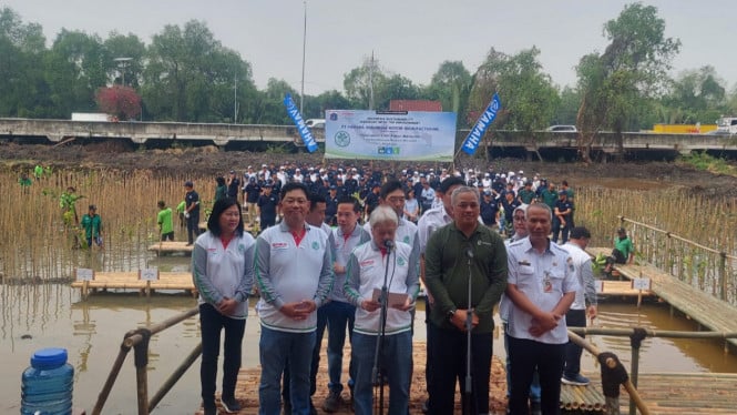 Aktivitas penanaman ribuan pohon mangrove oleh Yamaha