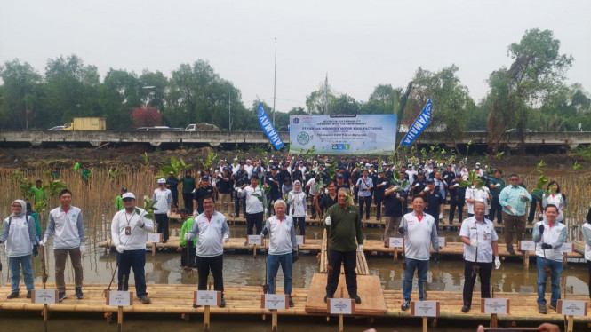 Aktivitas penanaman ribuan pohon mangrove oleh Yamaha