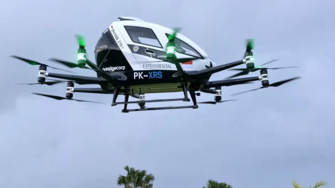 Kendaraan udara otonom ehang 216