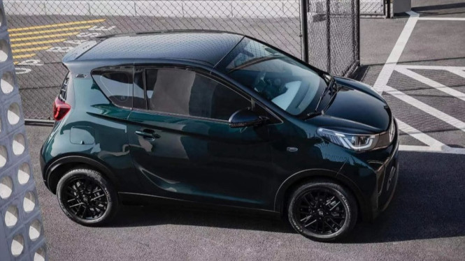 Chery Little Ant Mini EV