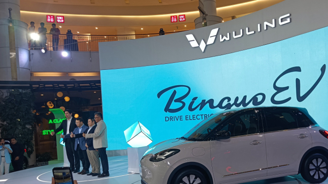 Wuling Binguo EV