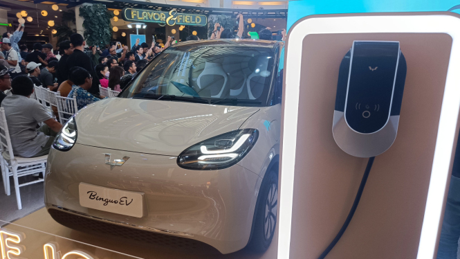 Wuling Binguo EV