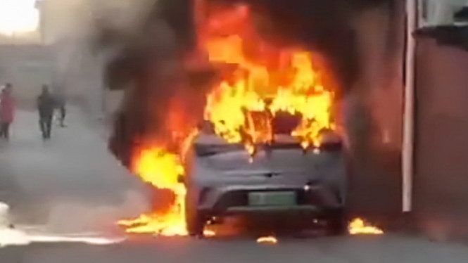Mobil listrik BYD Dolphin terbakar
