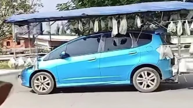Viral Honda Jazz jualan sayur