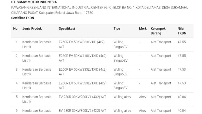 TKDN Wuling Binguo EV