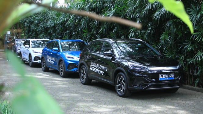 Test drive BYD Atto 3